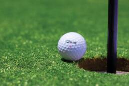 Golf ball next to hole.